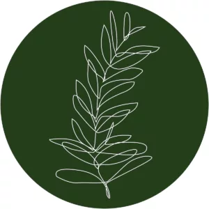 A round green circle with an illustration of a fern.